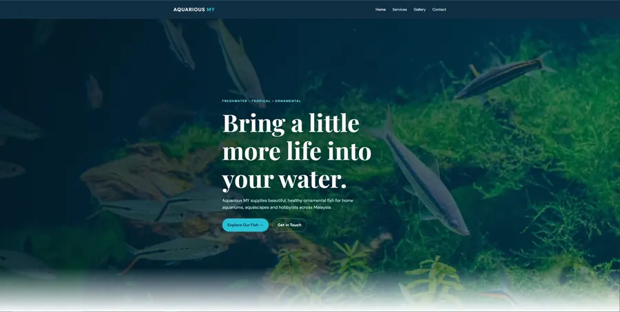 Aquarious MY website preview